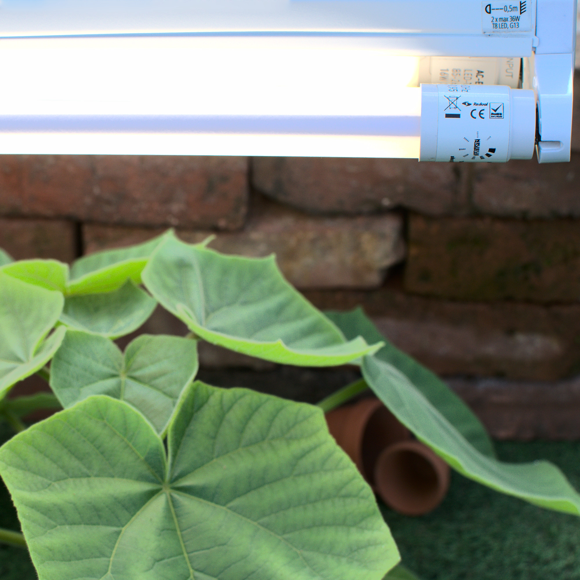 LED-Pflanzenlampe Röhrenhalterung